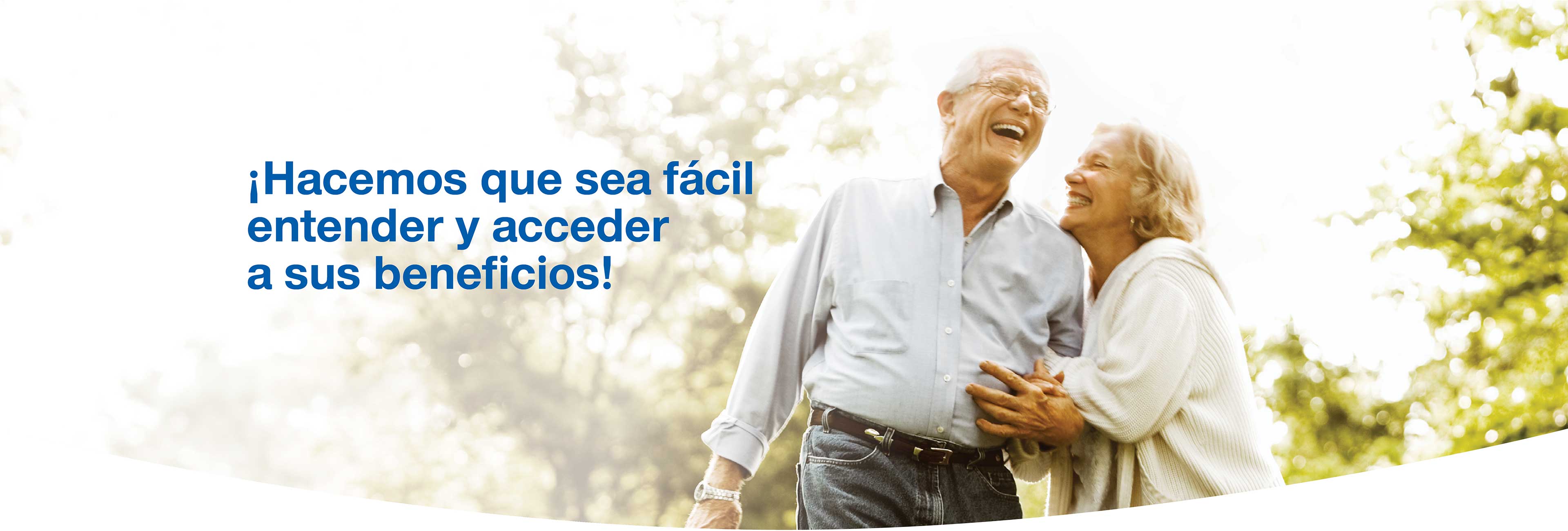 Imagen de la Sección Inicio